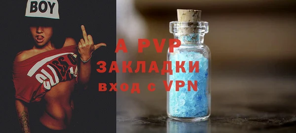 ешки Алексин