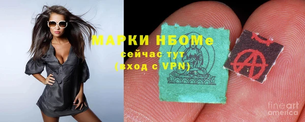 сатива Россошь
