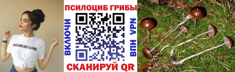 Галлюциногенные грибы мухоморы  сколько стоит  Лебедянь 